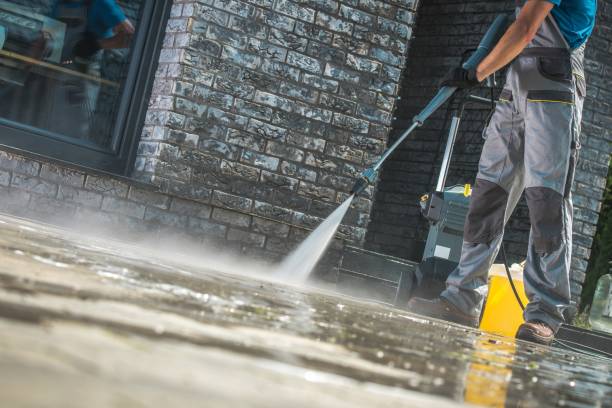 Boat and Dock Cleaning in Piperton, TN